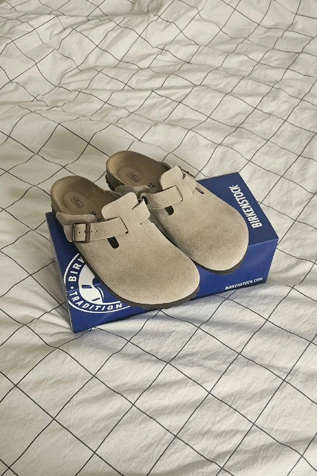 BOSTON SUEDE CLOGS
